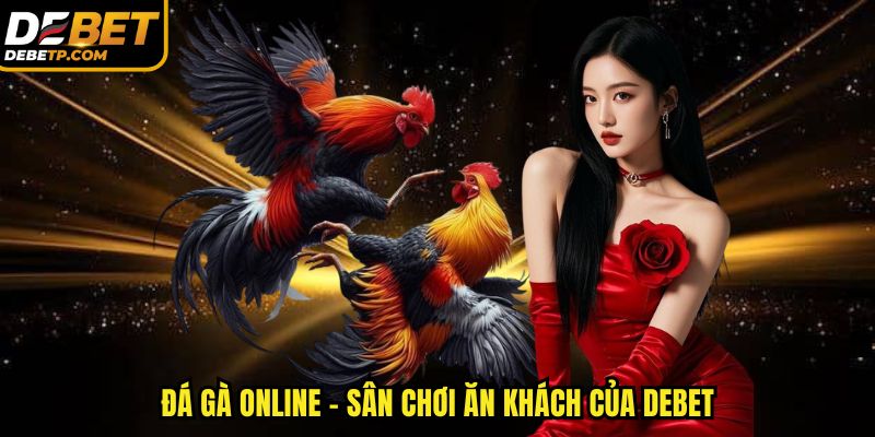 Đá gà Debet - Sân chơi ăn khách